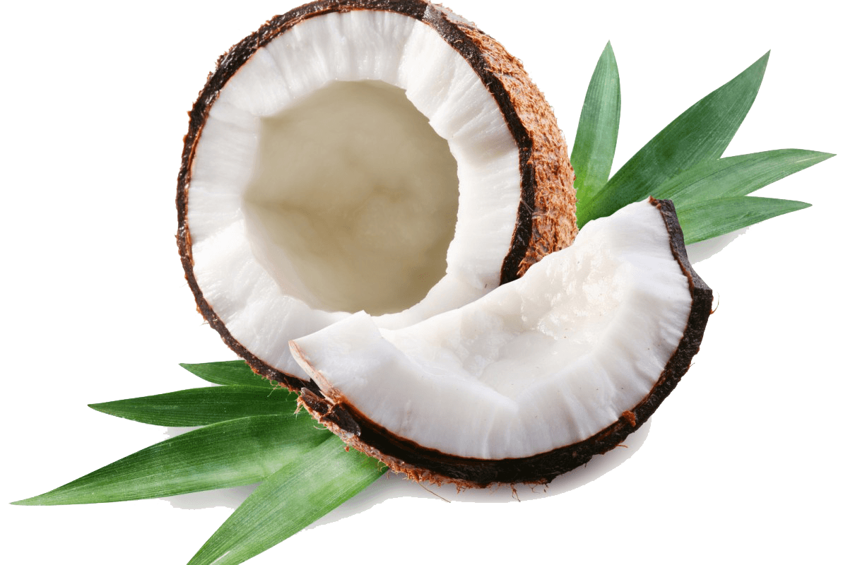 Fresh split coconut