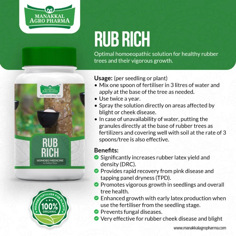 Rub-Rich-768x768