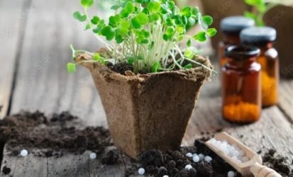 Agro Homeopathy Agro Homeopathy