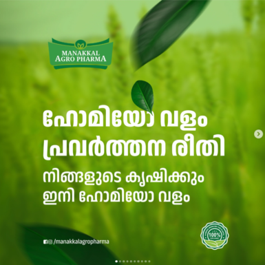 Screenshot 2026-04-12 213433