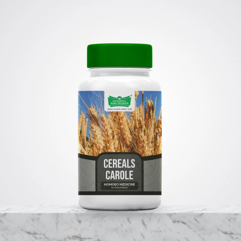 Cereals Carole Cereals Carole