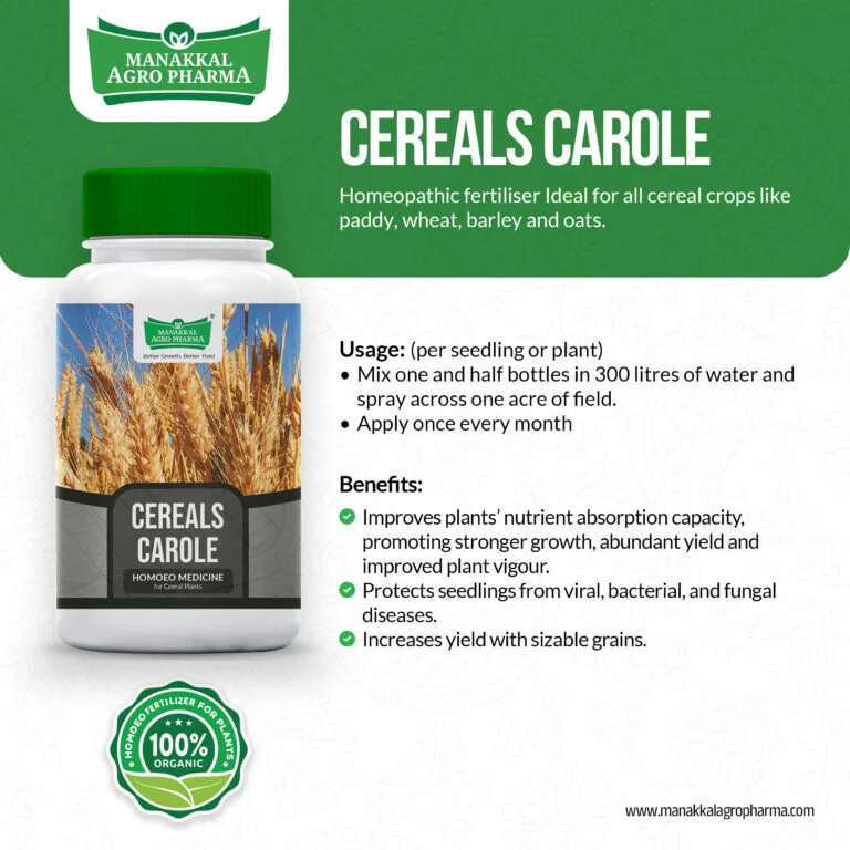 Cereals-Carole-768x768