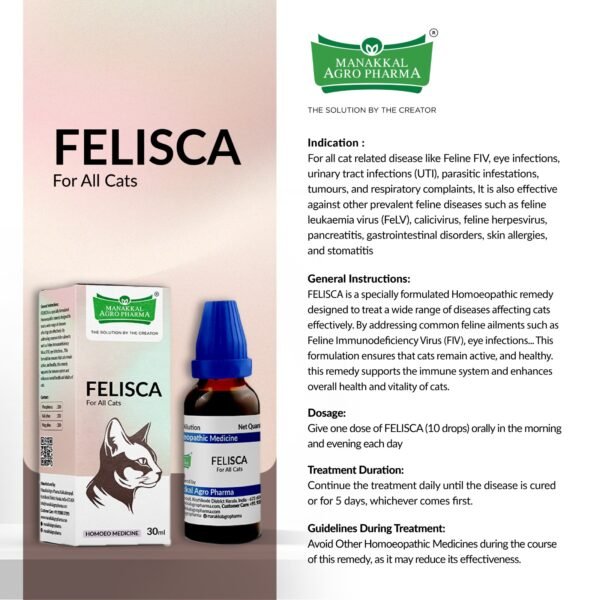 FELISCA