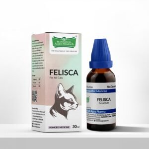 FELISCA