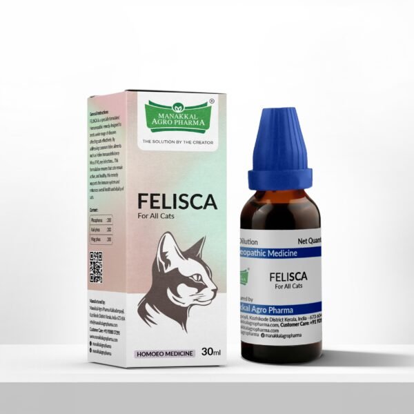 FELISCA