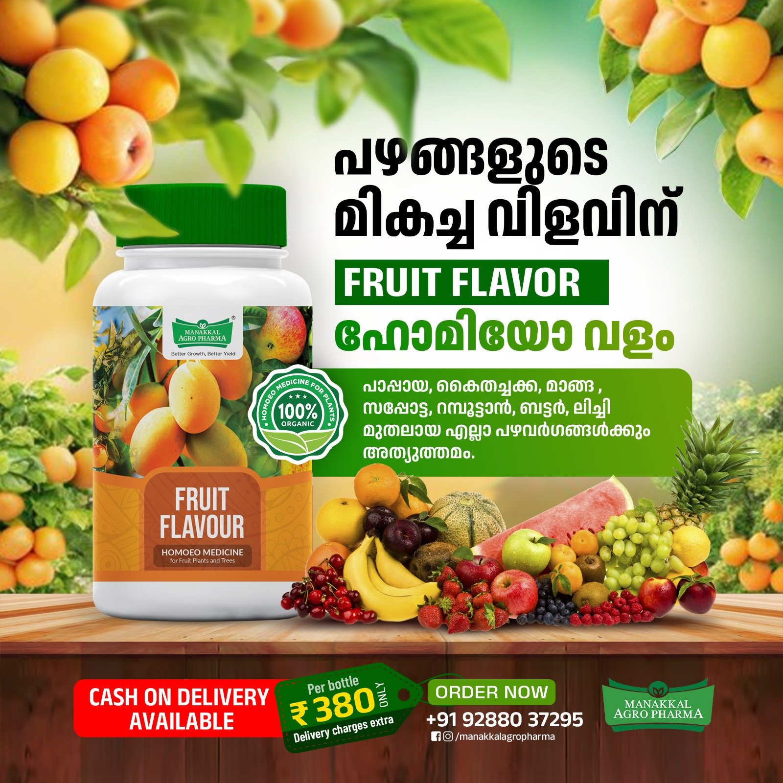 486446433_1066952082117018_2486892324324224588_n