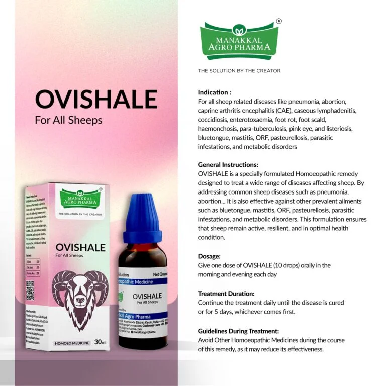 Ovishale Ovishale