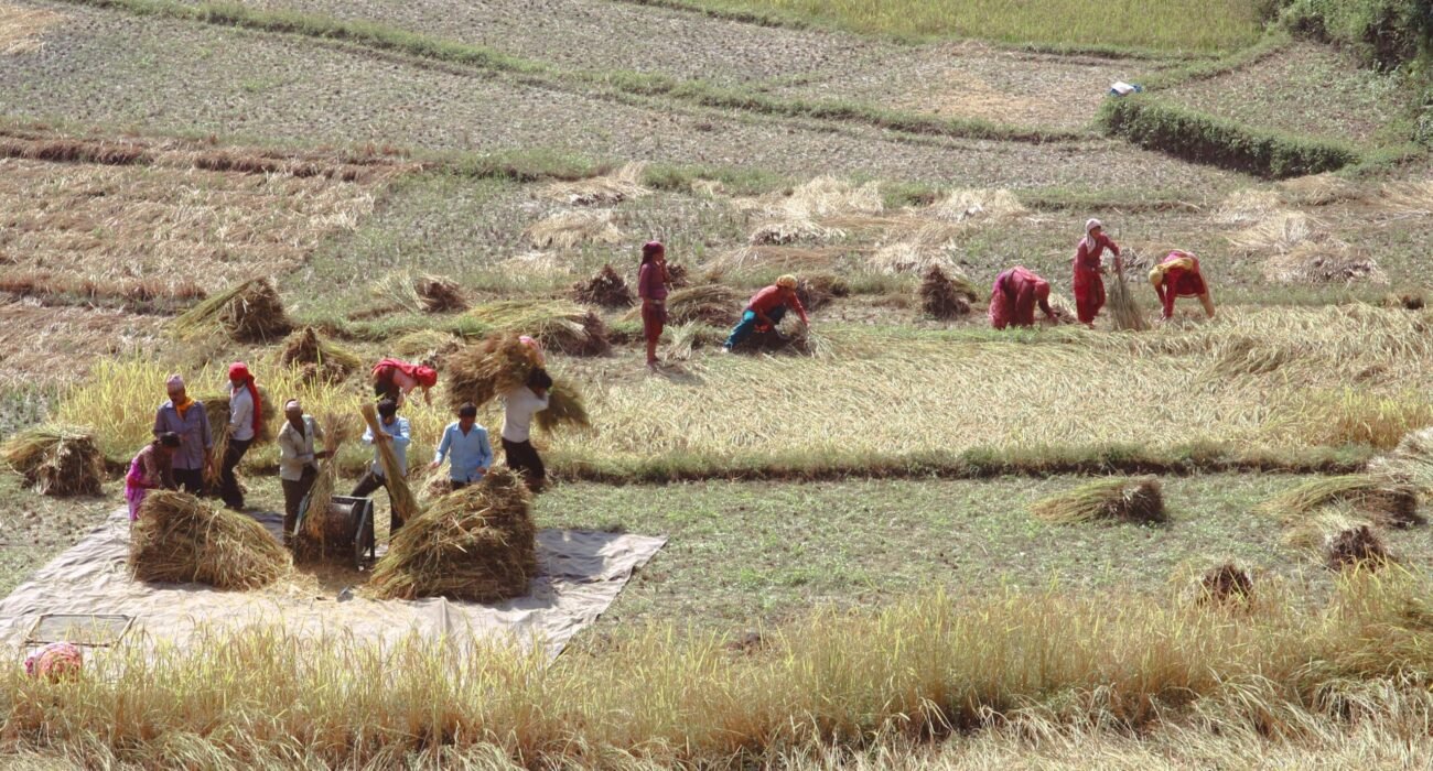 pexels-photo-14224718