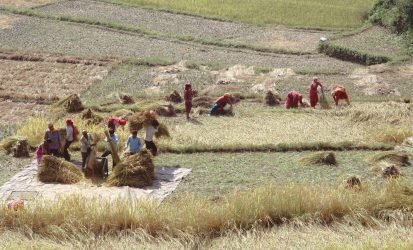 pexels-photo-14224718