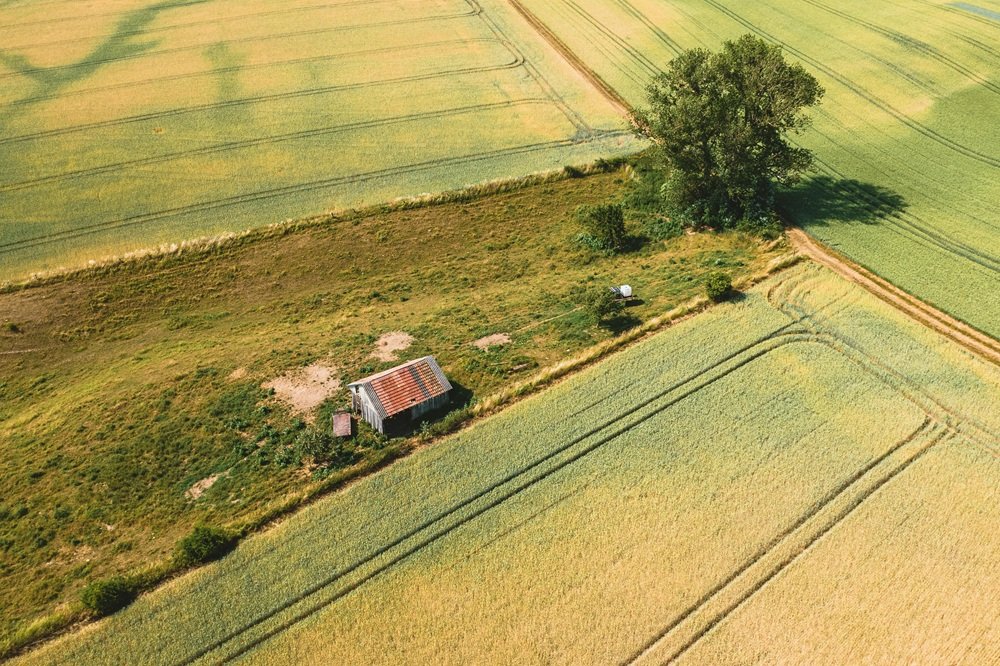 pexels-photo-27308330