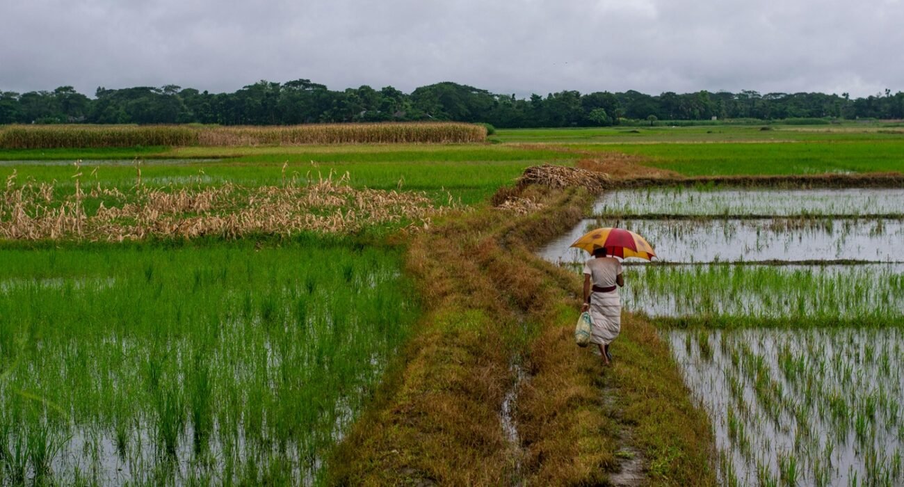 pexels-photo-8549213