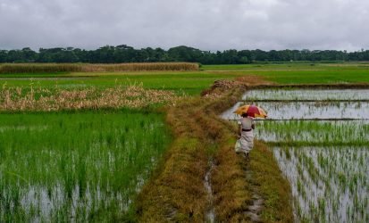 pexels-photo-8549213